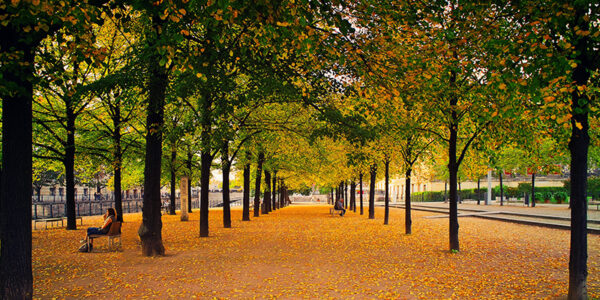 Hire an Executive Coach for Your Company in Vancouver